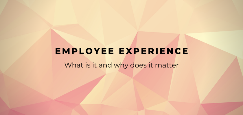 What is employee experience and why does it matter