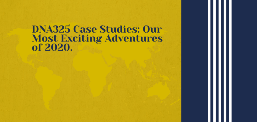 DNA325 Case Studies: Our Most Exciting Adventures of 2020